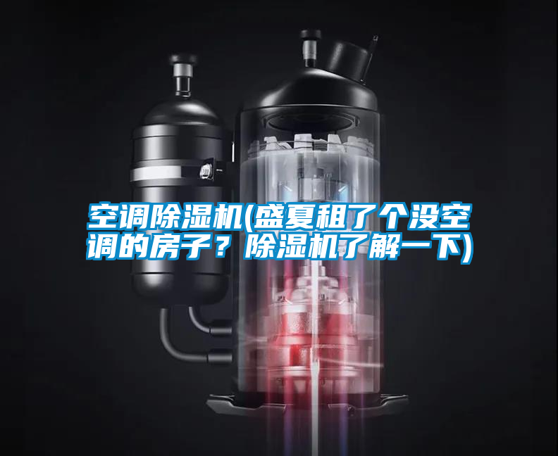 空調除濕機(盛夏租了個沒空調的房子？除濕機了解一下)