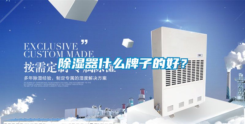 除濕器什么牌子的好?