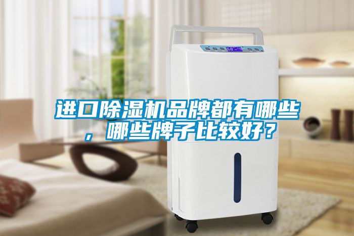 進口除濕機品牌都有哪些，哪些牌子比較好？