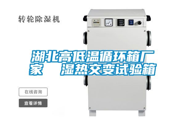 湖北高低溫循環(huán)箱廠家 濕熱交變試驗箱