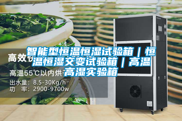智能型恒溫恒濕試驗(yàn)箱|恒溫恒濕交變試驗(yàn)箱|高溫高濕實(shí)驗(yàn)箱