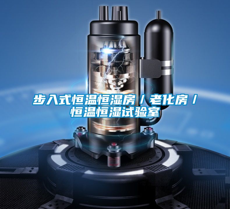 步入式恒溫恒濕房/老化房/恒溫恒濕試驗室