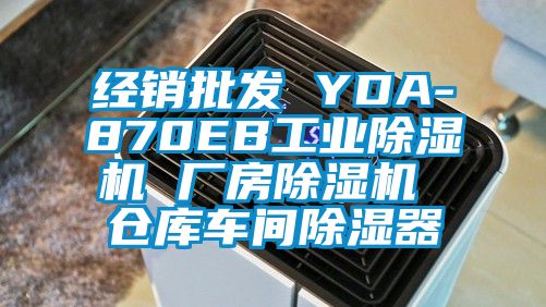 經(jīng)銷批發(fā) YDA-870EB工業(yè)除濕機(jī) 廠房除濕機(jī) 倉庫車間除濕器