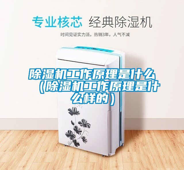 除濕機工作原理是什么(除濕機工作原理是什么樣的)