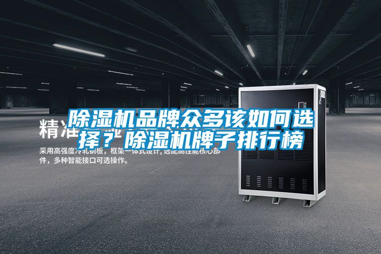 除濕機(jī)品牌眾多該如何選擇？除濕機(jī)牌子排行榜