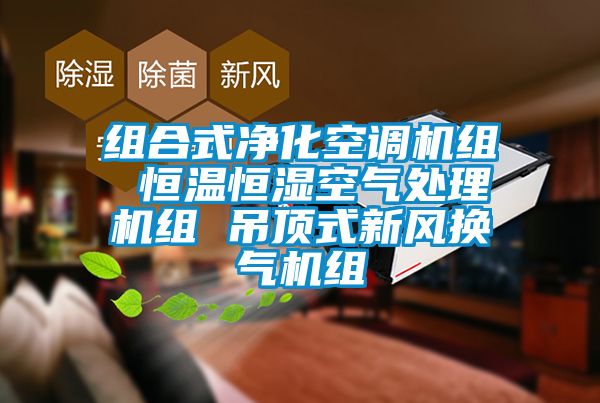 組合式凈化空調機組 恒溫恒濕空氣處理機組 吊頂式新風換氣機組