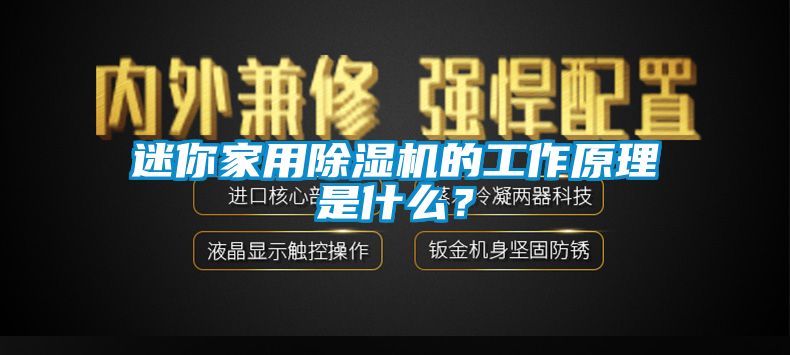 迷你家用除濕機(jī)的工作原理是什么？