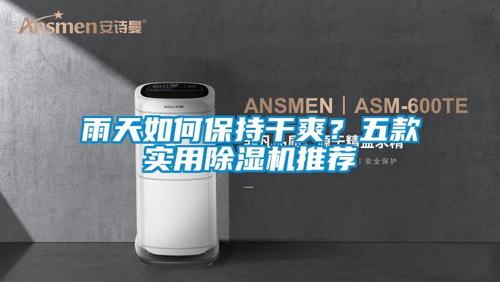 雨天如何保持干爽?五款實用除濕機推薦