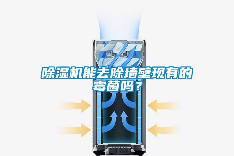 除濕機能去除墻壁現(xiàn)有的霉菌嗎?