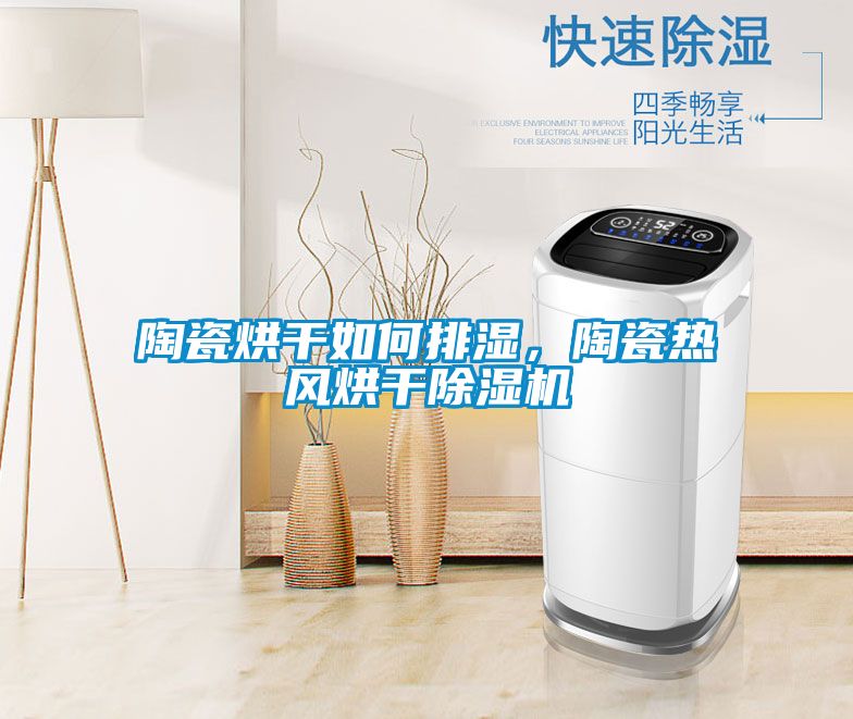 陶瓷烘干如何排濕，陶瓷熱風烘干除濕機
