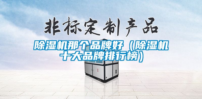 除濕機(jī)那個品牌好(除濕機(jī)十大品牌排行榜)