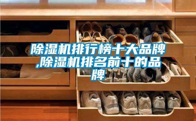 除濕機排行榜十大品牌,除濕機排名前十的品牌