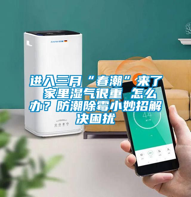 進入三月“春潮”來了 家里濕氣很重 怎么辦？防潮除霉小妙招解決困擾