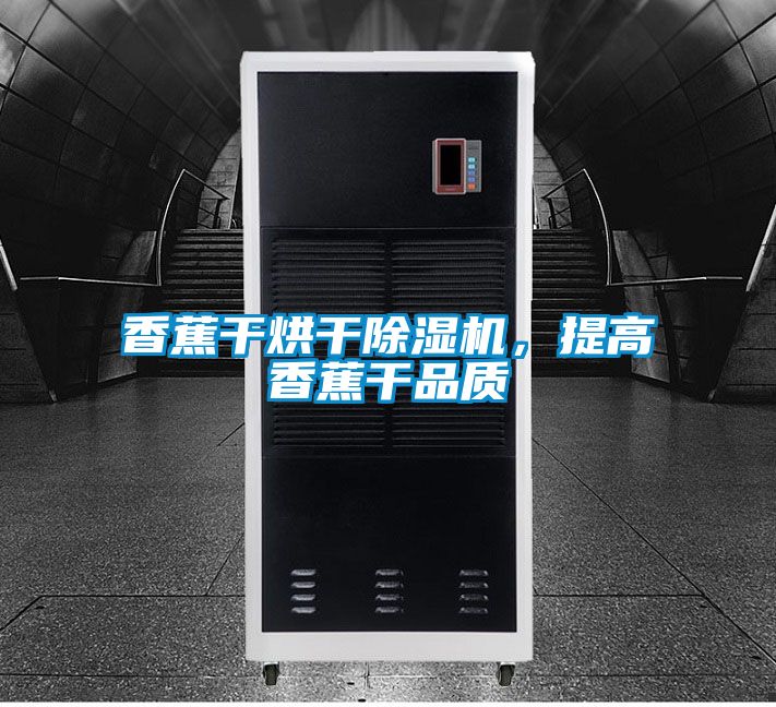 香蕉干烘干除濕機，提高香蕉干品質