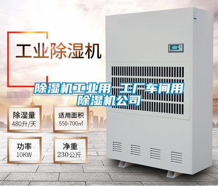 除濕機工業(yè)用 工廠車間用除濕機公司