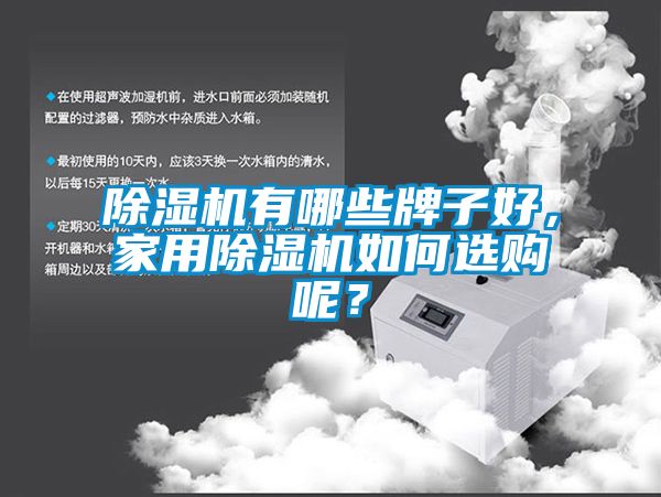 除濕機有哪些牌子好,家用除濕機如何選購呢?